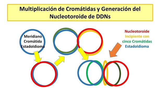 diapositiva (16).jpg